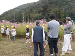 Cimg8593