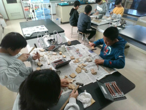 Img_20251114_141350 Img_20251114_141350