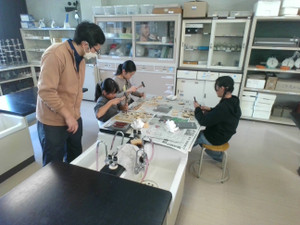 Img_20251114_141413 Img_20251114_141413