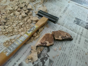 Img_20251114_141553 Img_20251114_141553