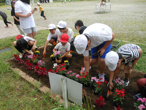 Dscn3486