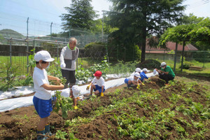 Img_6953 Img_6953