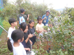 Dscn3084